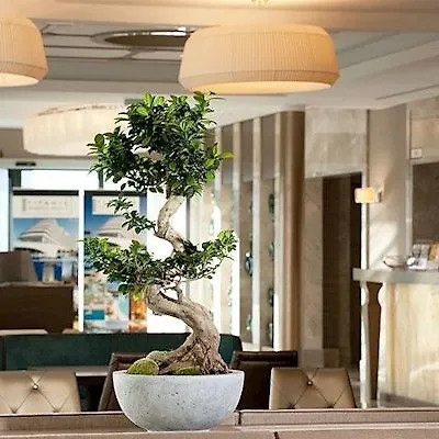 Titanic Comfort Mitte Hotel